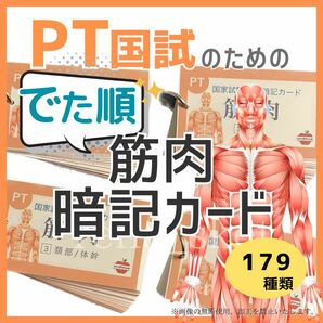 【でた順暗記カード　-筋肉- PT】 理学療法 リハビリ 国家試験対策 