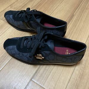  prompt decision *coach Coach [ sneakers approximately 23.5cm] new goods unused tag less * with logo *7 37 US EUR