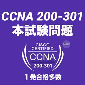 3月最新　Cisco シスコ CCNA201-300 本試験問題　実績多数 9tut