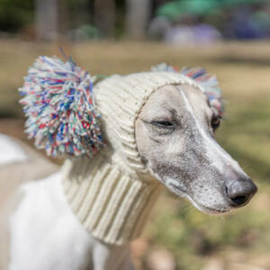 お得 ポンポン付き犬用ニット帽1P 全2サイズ ぽんぽん ニット帽 帽子 暖かい 小型犬 大型犬 暖かい 可愛い 防寒 おしゃれ