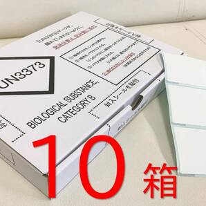 １０箱 PCR検査検体 UN3373発送用Box（封入シール付き） 送料込み