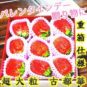 超大玉 5L以上 奈良産【プレミアム古都華】9個入苺 いちご 白の重箱入 贈答 バレンタインデー 誕生日プレゼント お祝い 