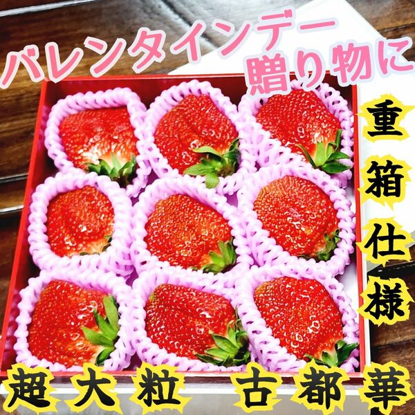 【淡路島産 紅ほっぺ】 超特大玉いちご9粒入 特製 お重箱ギフト専用箱 誕生日祝 バレンタインデー 贈答 特選苺 ギフトBOX