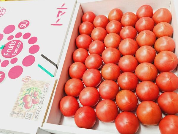 高知県夜須産 高糖度 夜須のフルーツトマト ”とさかみトマト” 約3kg ご家庭用 贈答用 ホワイトデー 誕生日祝い 24~43玉