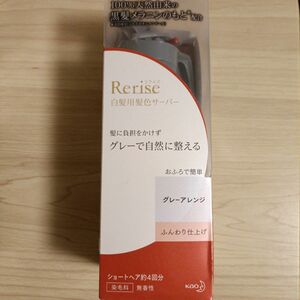 リライズ 白髪染め グレーアレンジ (自然なグレー) ふんわり仕上げ 男女兼用 本体 155g