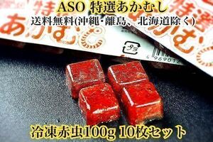 ASO特選あかむし 冷凍赤虫100g 10枚セット　