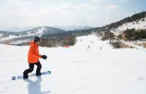  箱館山スキー場【電子チケット】【関西6】全営業日|1日券※ゴンドラ込み 大人 