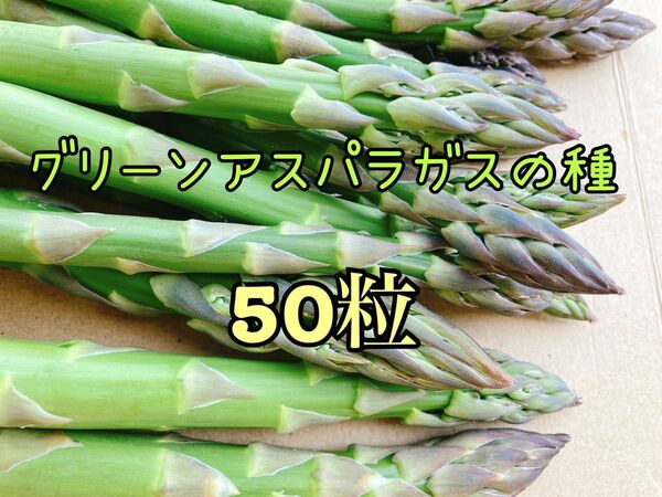 アスパラガスの種 アスパラ 50粒 種子