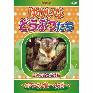 ゆかいなどうぶつたち ~コアラ・カンガルー・ワラビー~ DVD