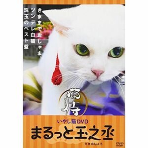 いやし猫DVD 猫侍 まるっと玉之丞