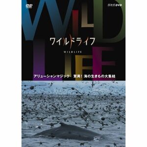 ワイルドライフ アリューシャンマジック 驚異 海の生きもの大集結 DVD