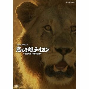 NHKスペシャル 悲しき雄ライオン~王交代劇 9年の記録~ DVD