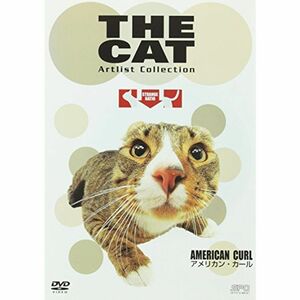 THE CAT ~アメリカン・カール~ DVD