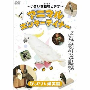 ~いきいき動物ビデオ~アニマル エンターテイナー びっくり&爆笑編 DVD