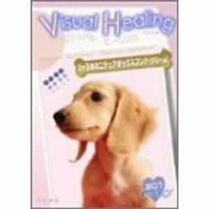 Visual Healing 11 3ッ子のミニチュアダックスフンド(クリーム) DVD