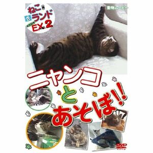 ねこ(猫)ざランド エクストラ(EX) vol.2 ニャンコとあそぼ DVD