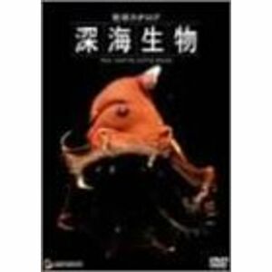 地球カタログ 深海生物 DVD