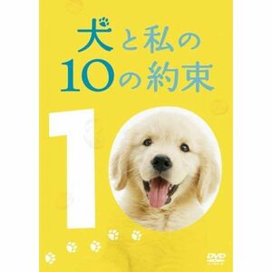 犬と私の10の約束プレミアム・エディション(2枚組) DVD