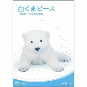 白くまピース ~日本初・人工哺育の全記録~ DVD