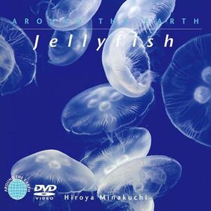 ジェリーフィッシュ DVD