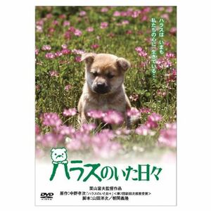 「きな子~見習い警察犬の物語~」DVD発売記念 犬だワンダフルキャンペーン ハラスのいた日々 (限定生産)