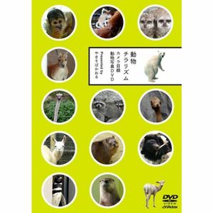 動物チラリズム -カメラ目線動物写真DVD-