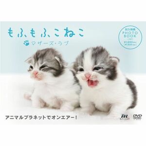 もふもふこねこ~マザーズ・ラブ~ DVD