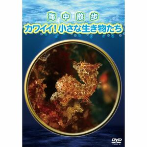 海中散歩~カワイイ 小さな生き物たち~ DVD