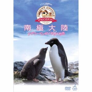 「どうぶつ奇想天外」presents南極大陸・アデリーペンギン子育て物語 DVD