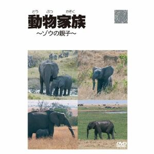 動物家族~アフリカ編~ゾウ DVD