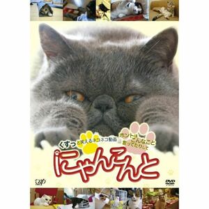 にゃんこんと~くすっと笑えるネコネコ動画 ホントはこんなこと言ってたりして~ DVD