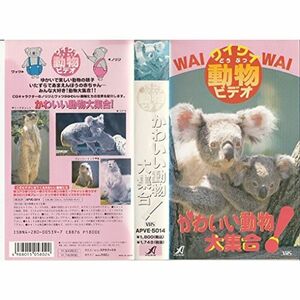 ワイワイ動物ビデオ/カワイイ動物大集合 VHS