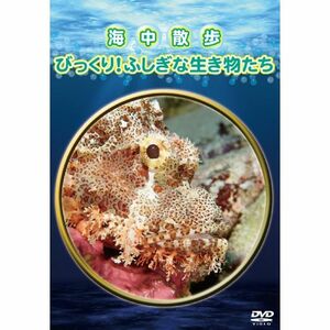 海中散歩~びっくり ふしぎな生き物たち~ DVD