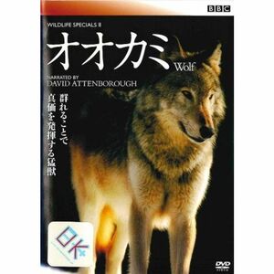 BBC ワイルドライフ スペシャル 2 オオカミ レンタル落ち