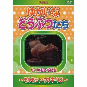 ゆかいなどうぶつたち ~モルモット・ウサギ・リス~ DVD