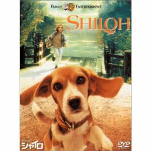 ビーグル犬 シャイロ 特別版 DVD