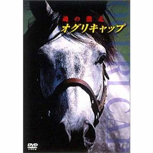 オグリキャップ 魂の激走 DVD