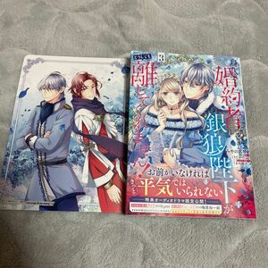 身代わり婚約者なのに、銀狼陛下がどうしても離してくれません！　３ アニメイトビジュアルボード付