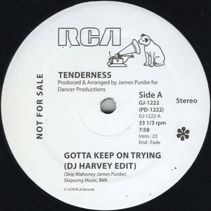 ほぼ新品 GarageクラシックHarveyエディット ★Gotta Keep On Trying (DJ Harvey Edit) - Tenderness★ Joey Negro, GJ-1222