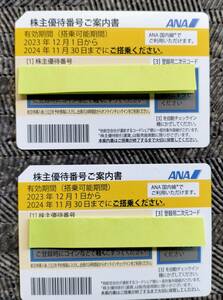 【ヤマトメール便送料無料】ANA株主優待券2枚セット 2024年11月30日まで