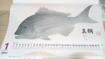 シマノ×2　がまかつ×2　店名入り　2024年　魚拓カレンダー　令和6年_画像3