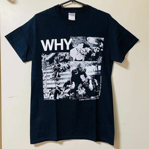 ディスチャージ古着Tシャツ WHY S バンドT ロックT ハードコアパンク 2013年 DISCHARGE