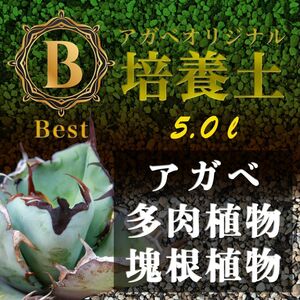 アガベ土☆オリジナル培養土Best5㍑（アガベ・各種サボテン・多肉植物の土）