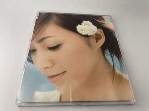 天下無敵の愛 CD 酒井法子　H90-01:　中古