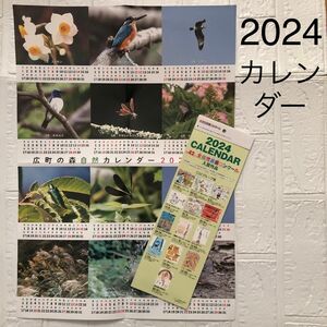 壁掛け カレンダー 2024 2つセット