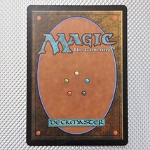 FOIL 種蒔き時 / Seedtime プレイ用 MTG_画像4