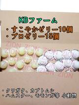 KBファーム すこやかゼリー16g 10個 プロゼリー16g 15個 クワガタ カブトムシ 小動物 ハムスター モモンガ ハリネズミ 昆虫ゼリー_画像1