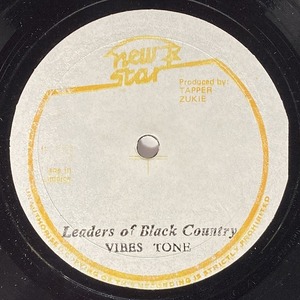 VIBES TONES / LEADERS OF BLACK COUNTRY (12インチシングル)