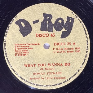 ROMAN STEWART / WHAT YOU WANNA DO (12インチシングル)