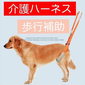 【簡単装着】 介護ハーネス 全犬種 補助ハーネス 介護 歩行補助 フリーサイズ 